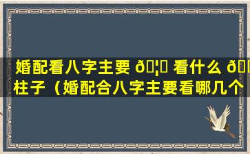 婚配看八字主要 🦁 看什么 🐋 柱子（婚配合八字主要看哪几个字）